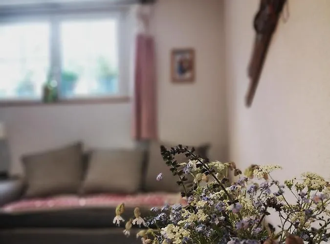 Apartment Urchige 2-zimmerwohnung Matten (St Stephan)