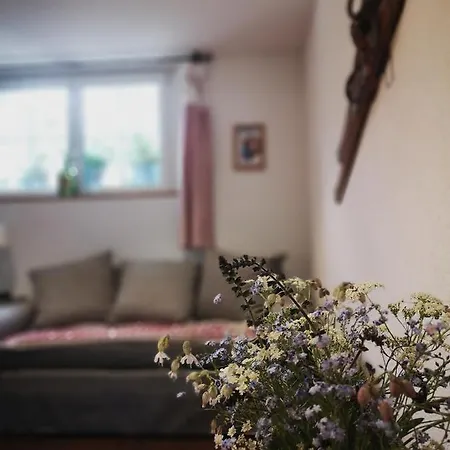 Apartamento Urchige 2-zimmerwohnung Matten (St Stephan)